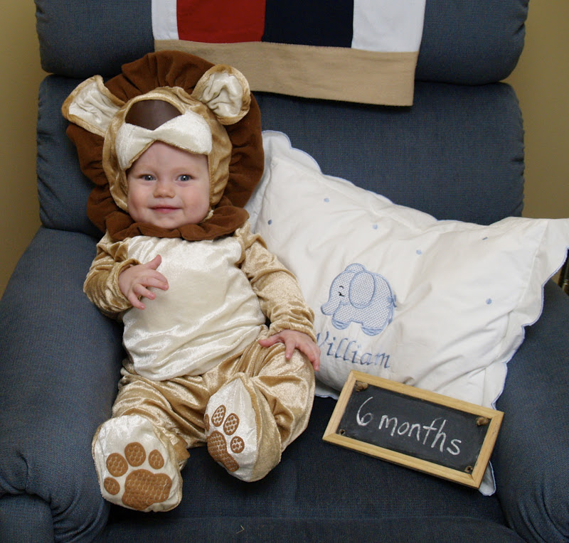 Footsteps Little Lion Man