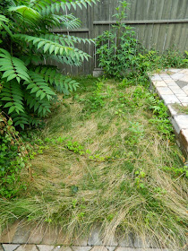 New garden renovation Leslieville before by Paul Jung Gardening Services Toronto