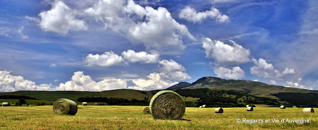 rouleaux de foin, auvergne