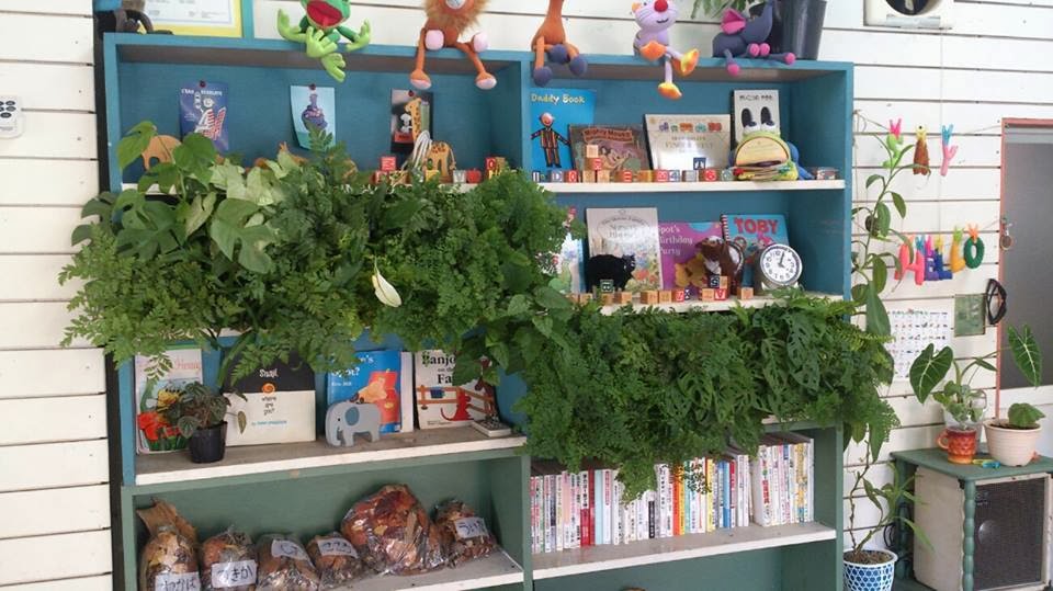 Jardines verticales educativos en la escuela y el colegio : Jardines