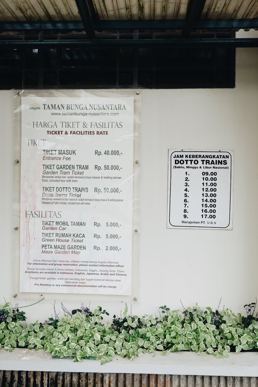 Wisata Sejuta Bunga Di Taman Bunga Nusantara Puncak Jawa Barat