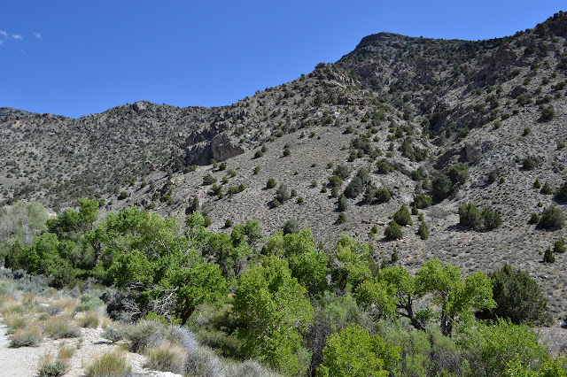 rocky canyon slopes