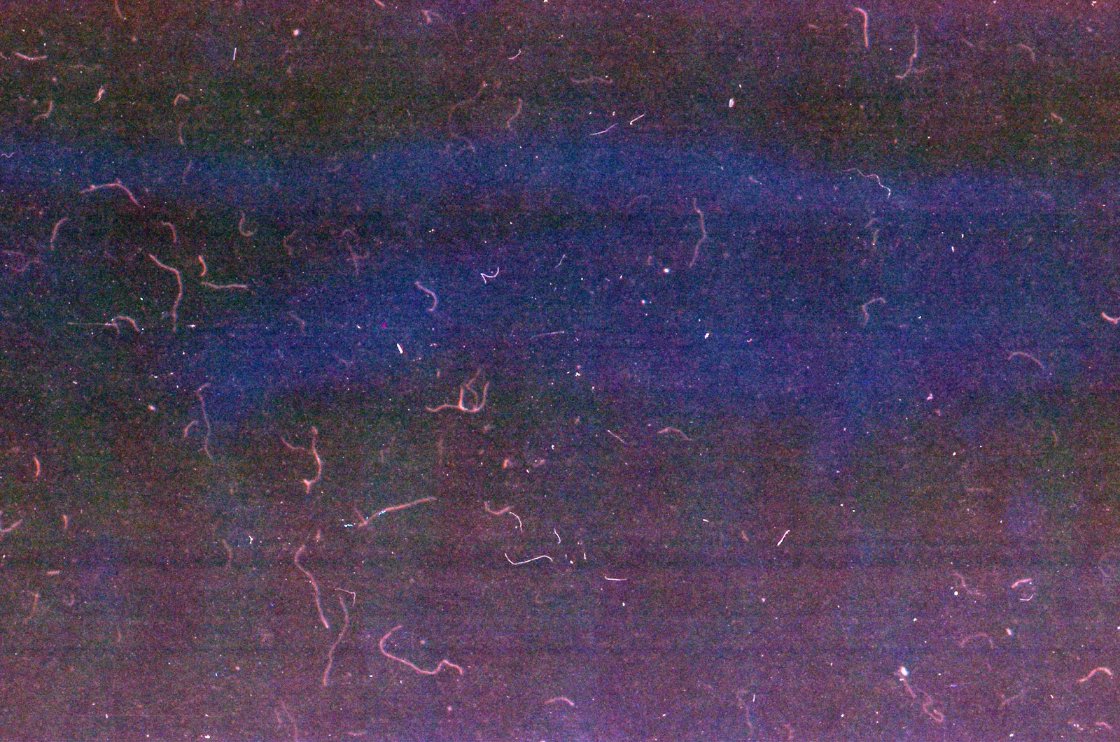 Film & Grain texture for your photography профессиональный фотограф