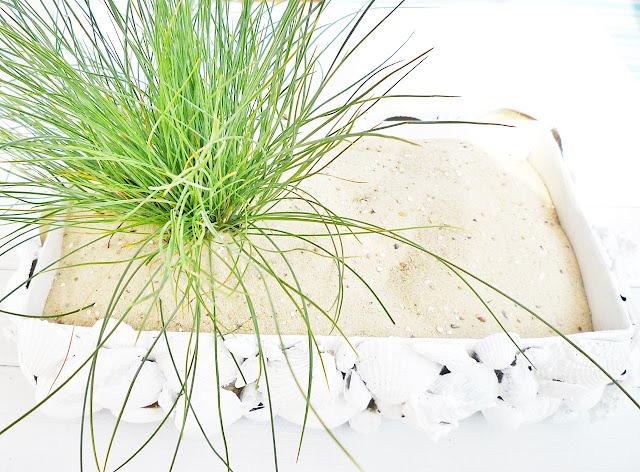 DIY alles vonKarin : DIY: Was macht man nur mit all den Muscheln