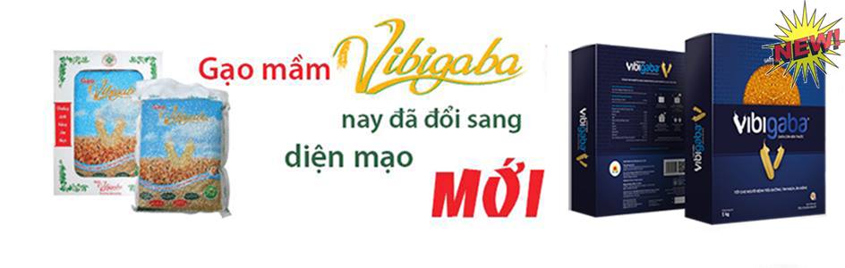 Gạo Mầm Vibigaba Chữa Bệnh Tiểu Đường