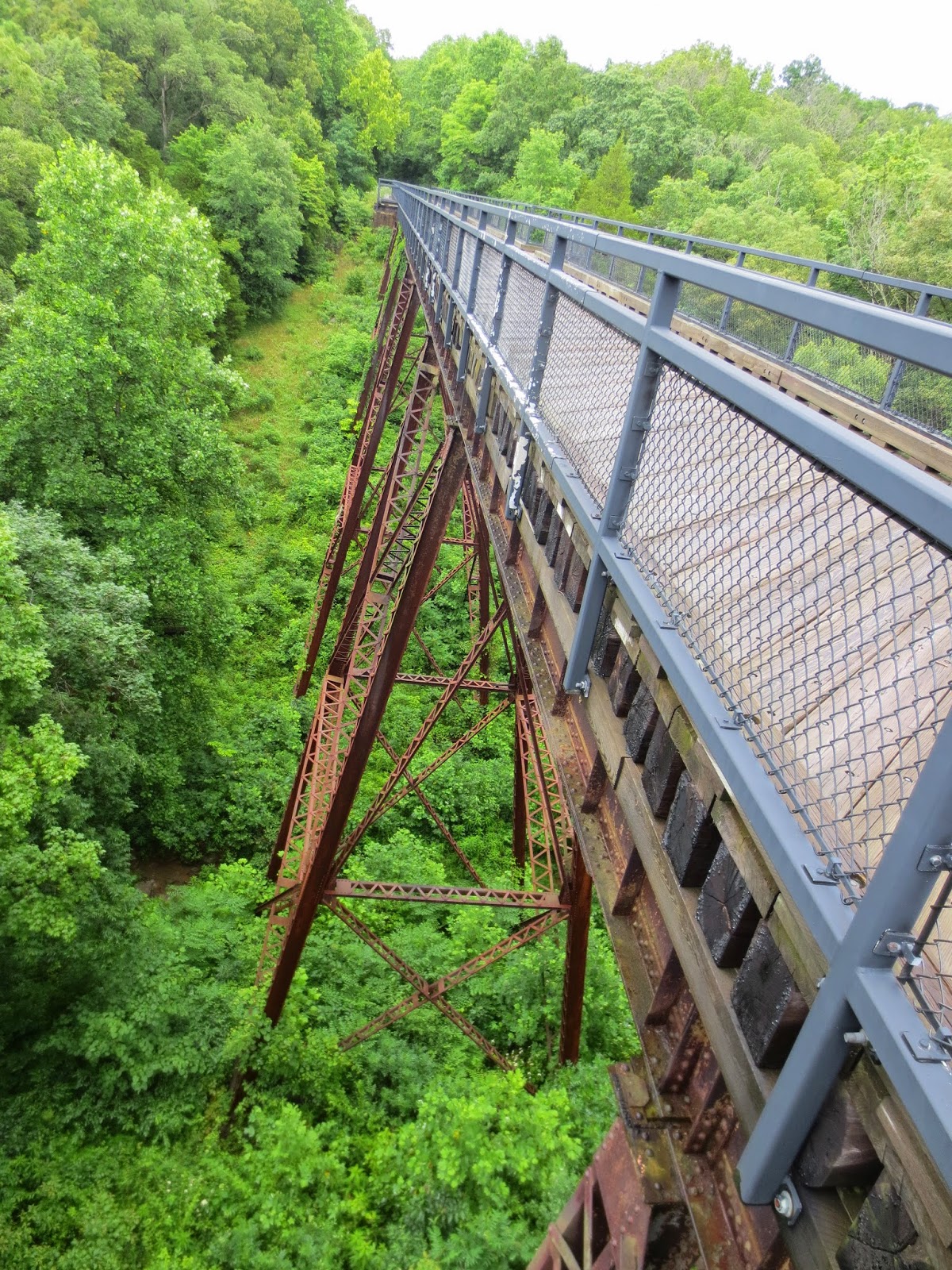 The Travelling Lindfields Cycling the Tunnel Hill State Trail in Illinois