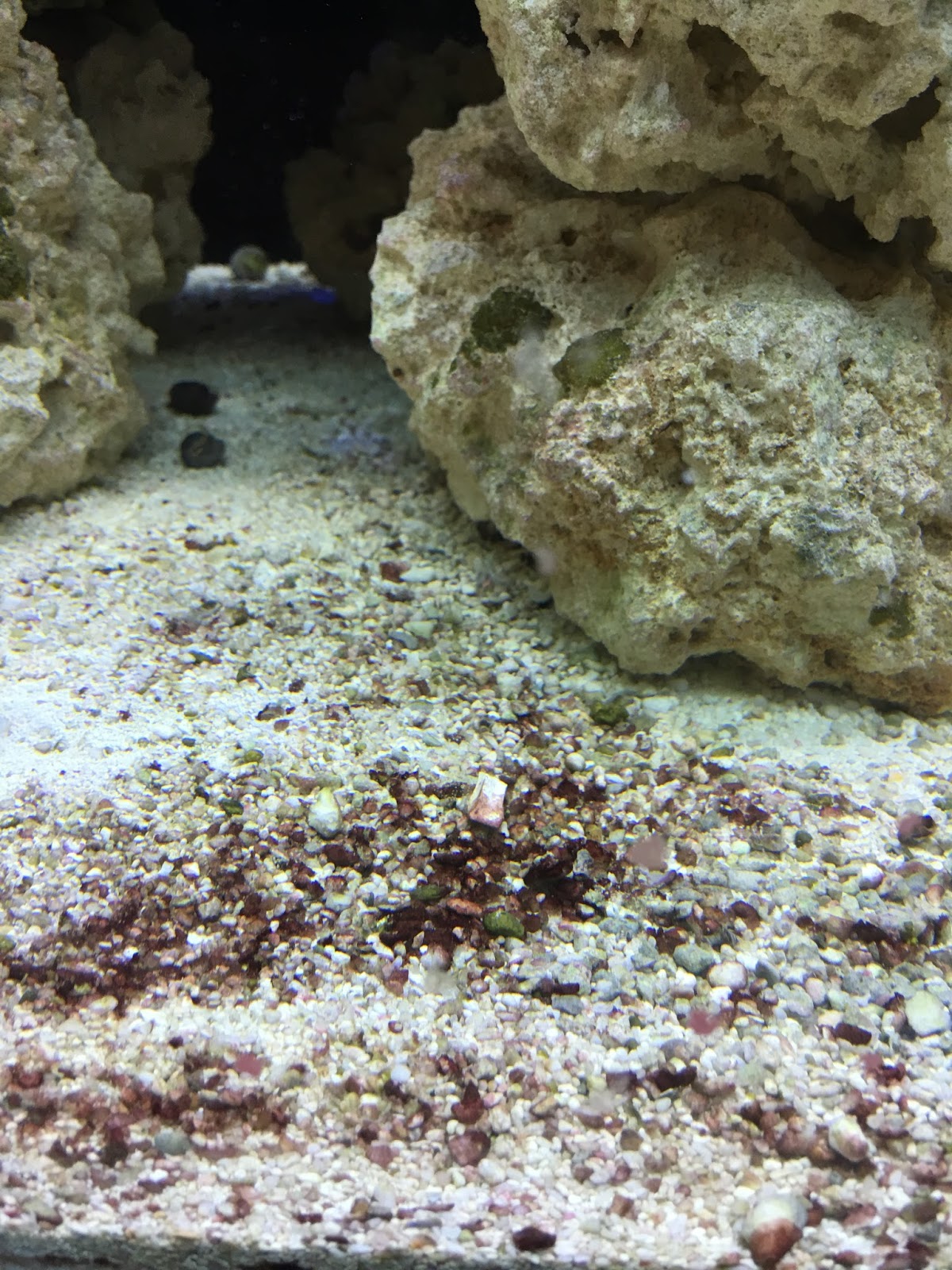 Saltwater Blog