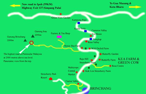 CAMERON SERVICE: 31 - Map of Cameron Highlands, Tanah Rata, Brinchang