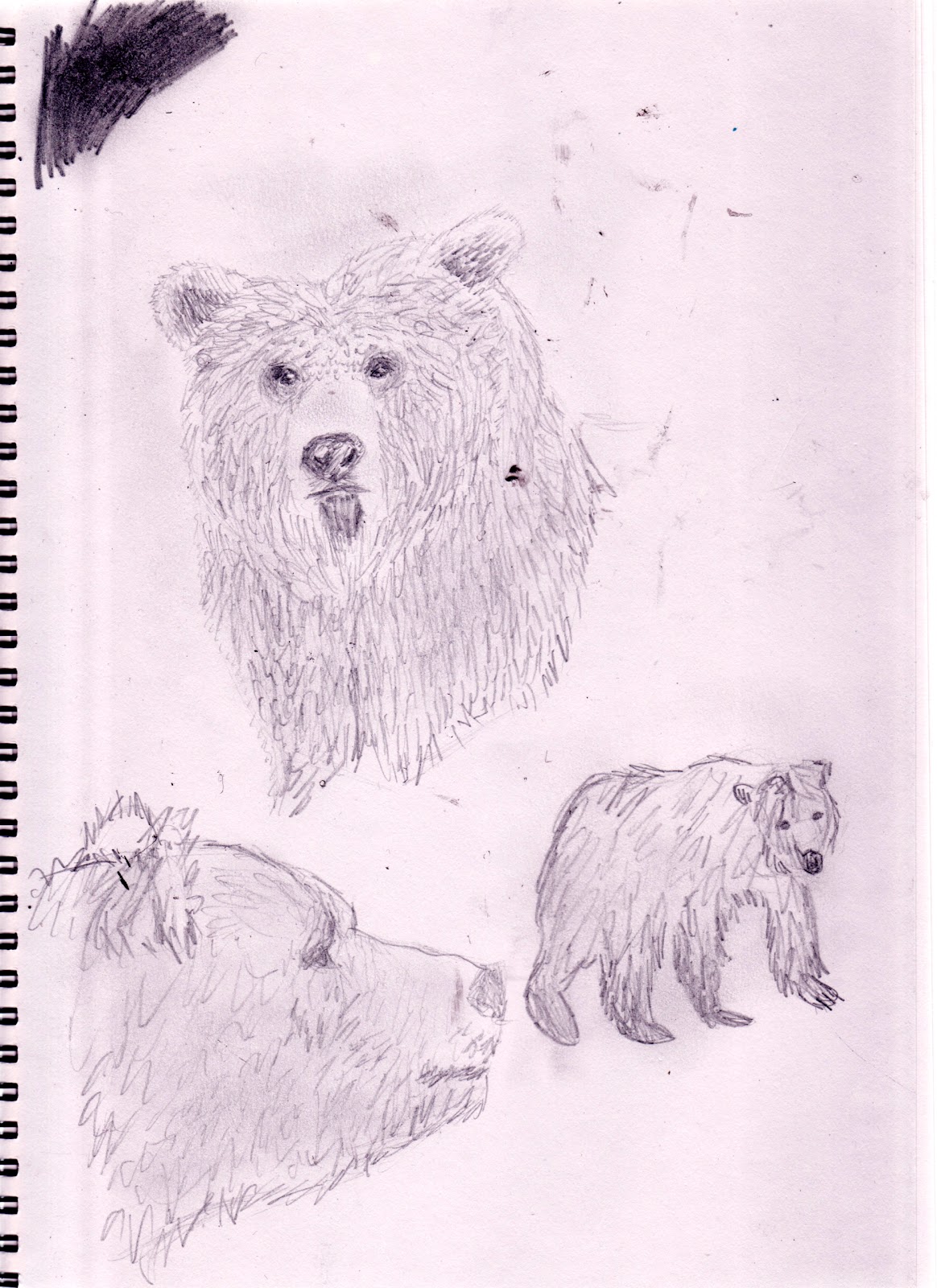 Stacey Muir Graphics Unit 1 Real Life Drawing