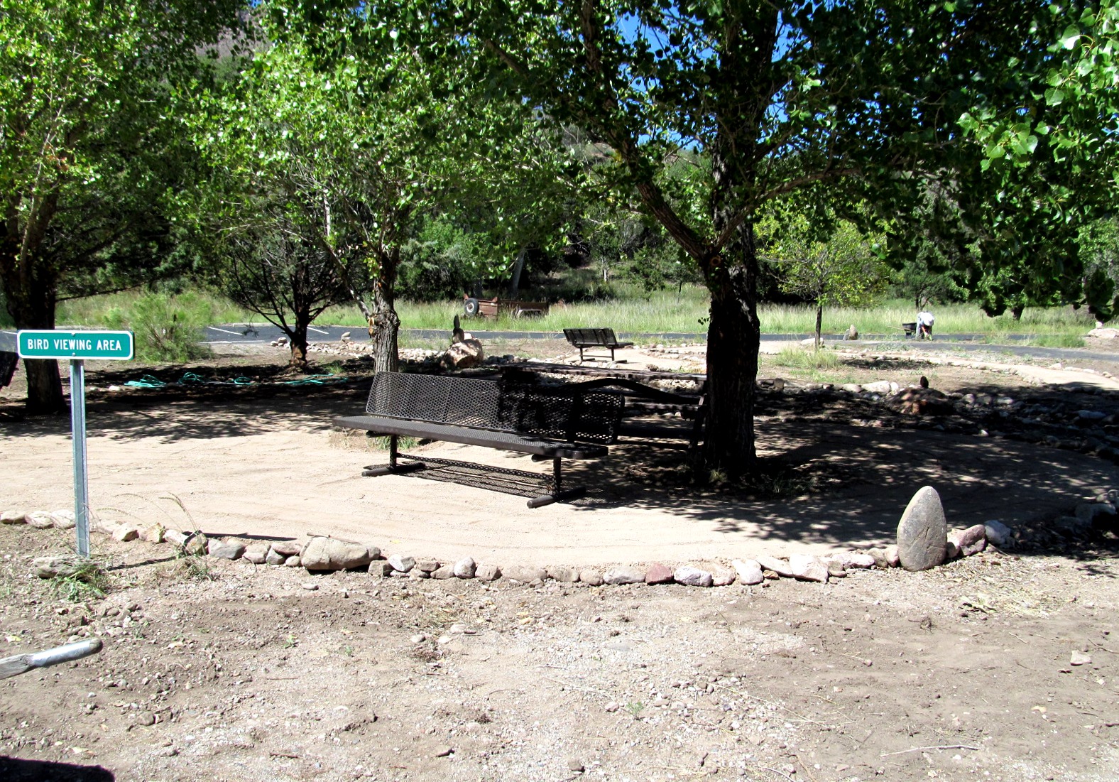 Blogging from the Boot Heel Friends of Cave Creek Canyon and National
