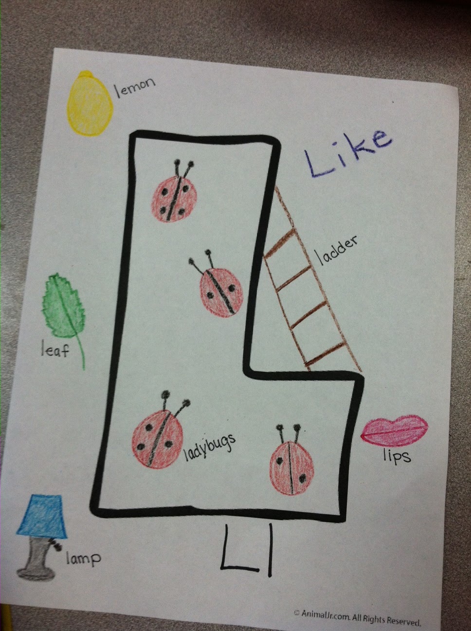 Mrs Leach s Kindergarteners Letter L
