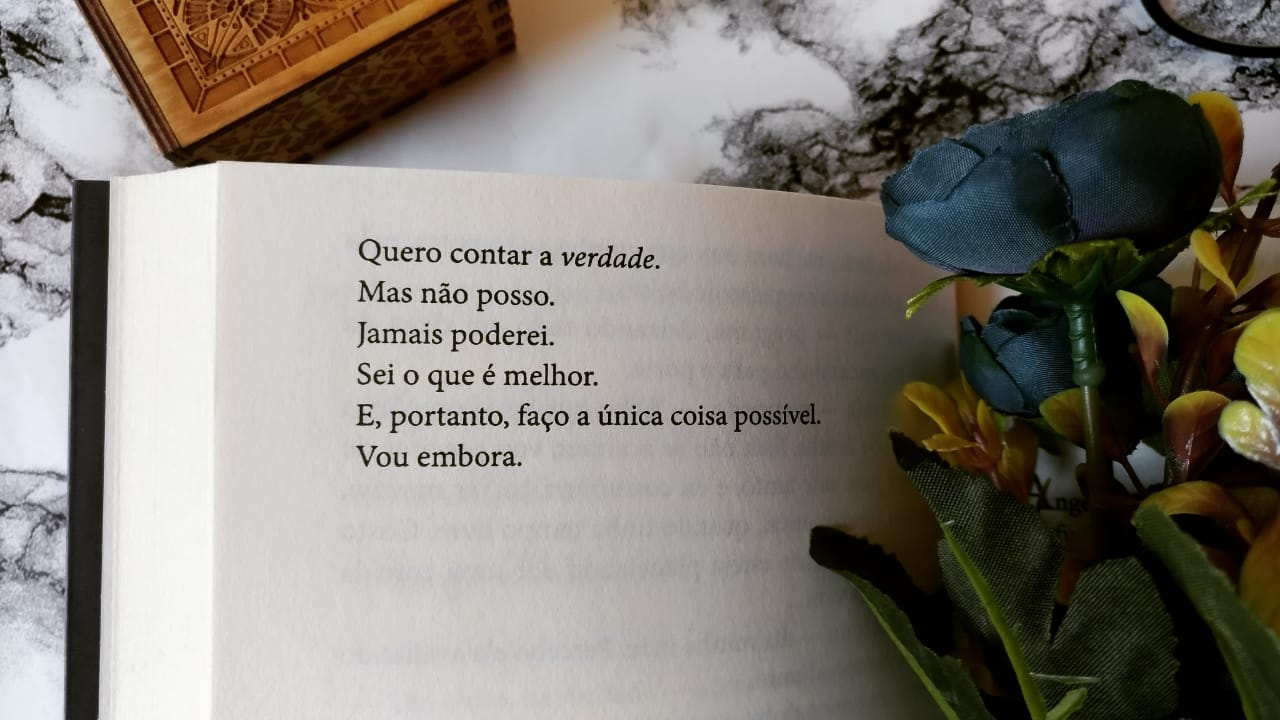 A Guardiã de Histórias V. E. Schwab