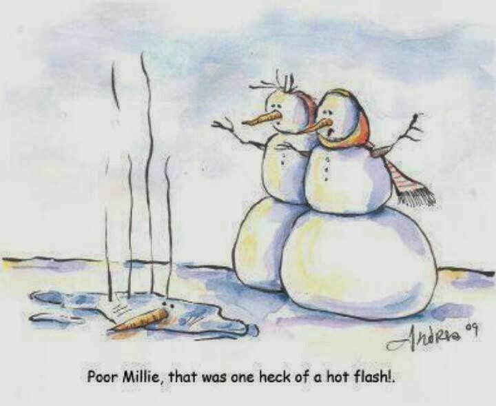 Funny Snowman Cartoon Poor Millie That Was One Heck Of A Flash