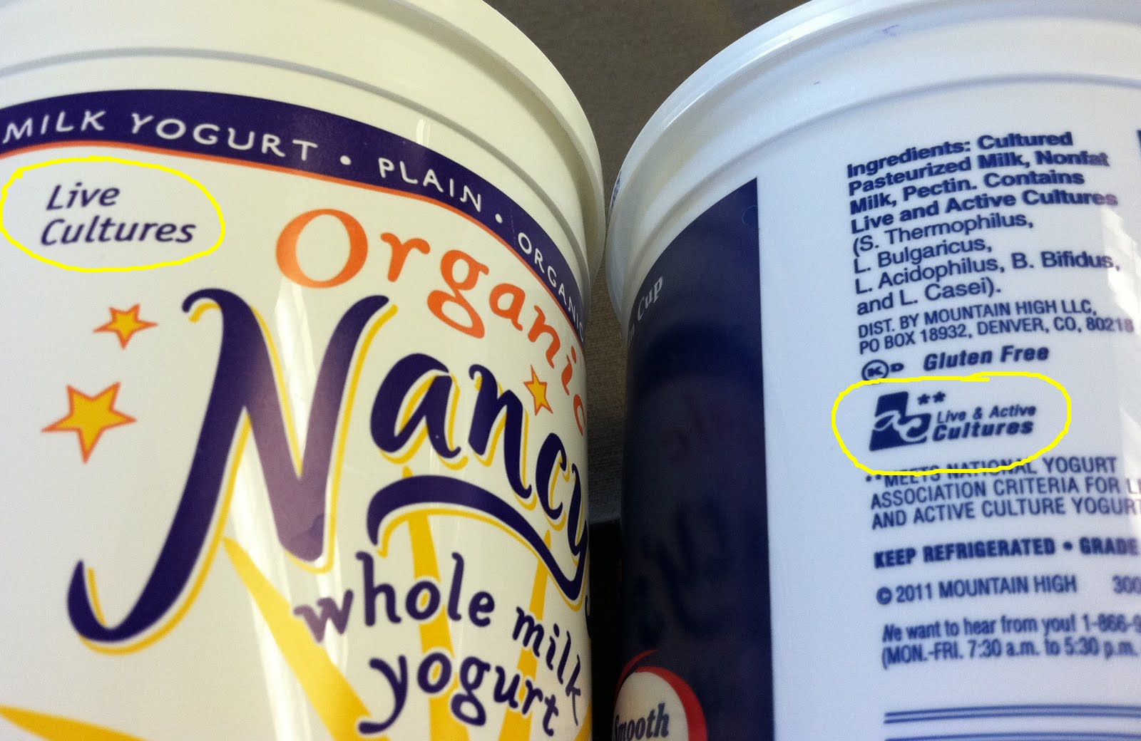 Discover Foods: Discovering Yogurt