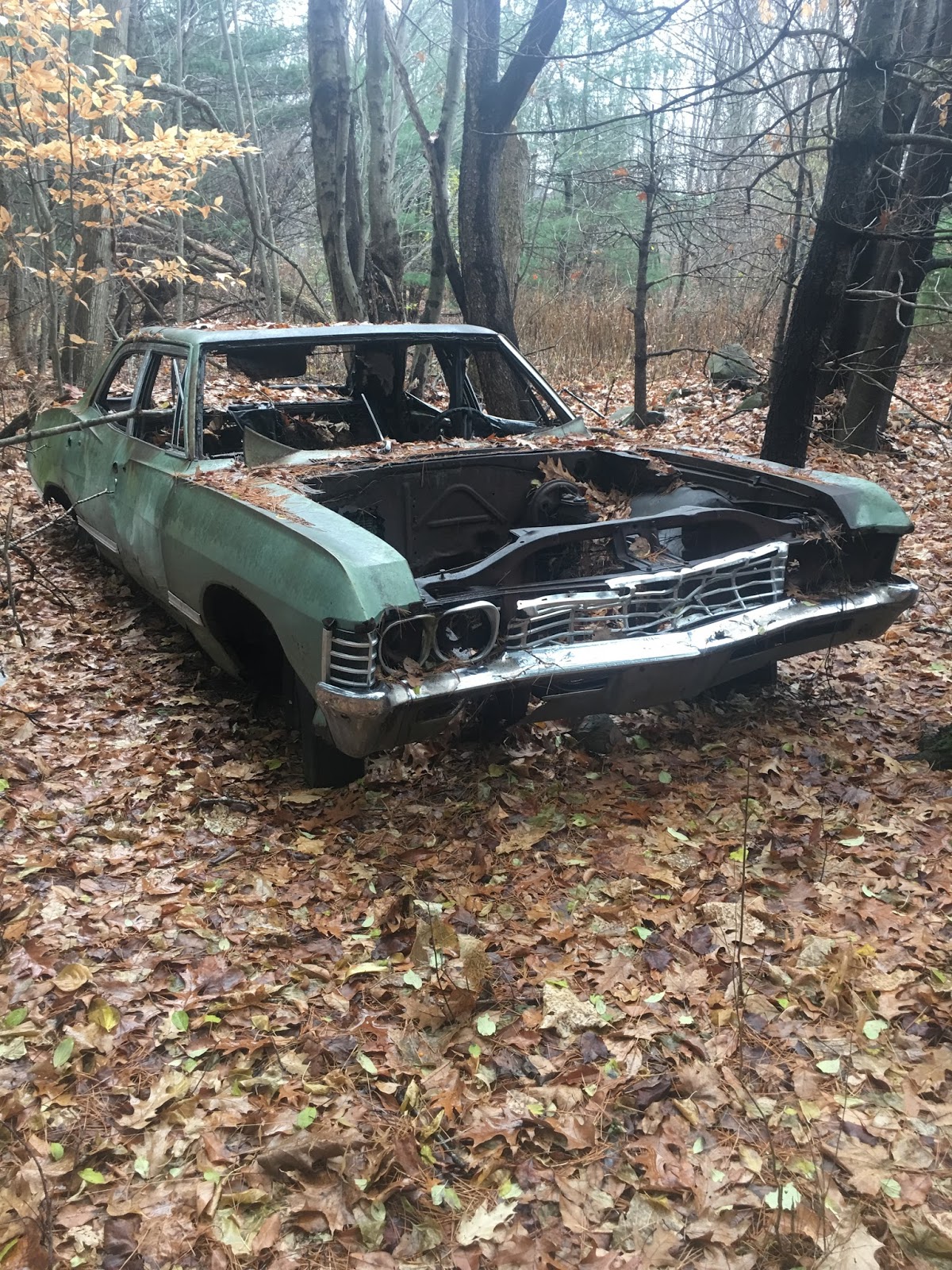 Rondinones' Adventures On The Hunt For Abandoned Vehicles