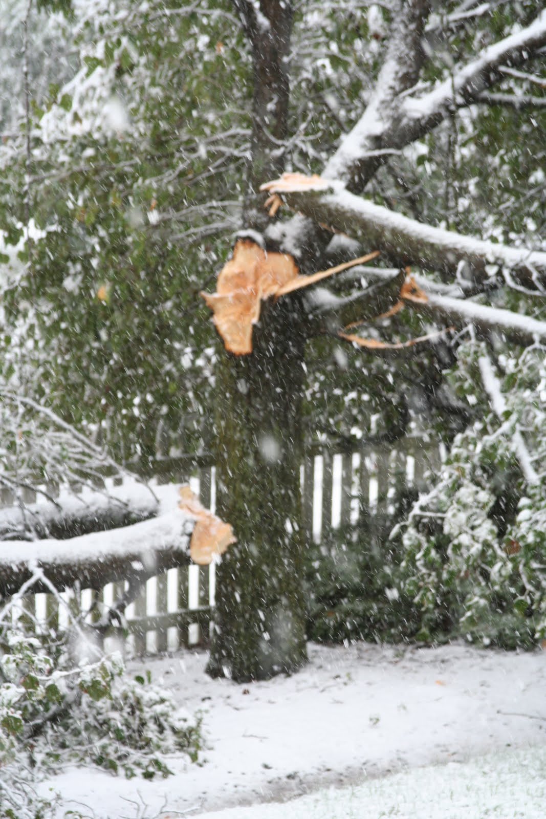 Hillsborough NJ Journal Snow Damage Dump Hours hillsborough-nj-journal-snow-damage-dump-hours