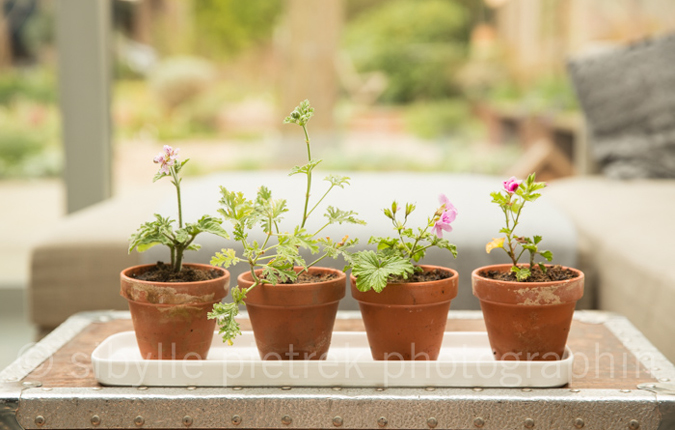 Das Ninetynine Hotel In Wuppertal Ist Die Neue Oase Im