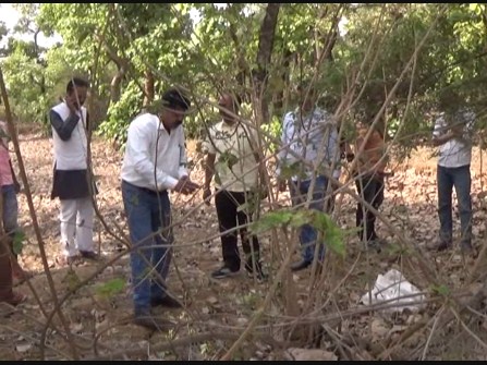 banka live bankalive