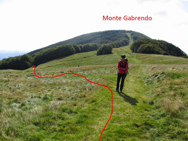 Escursionismo a 360° Monte Falco (da case Fiumari) E