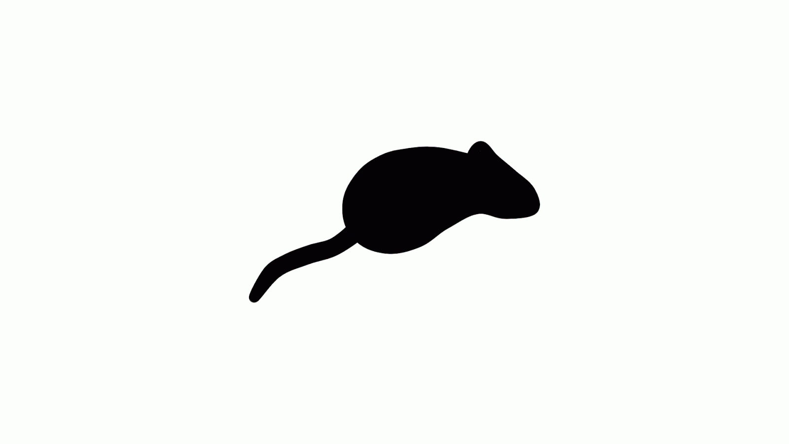 Мышь бегает по экрану. Мышь бегает по экрану для кошек. Бегающая мышь по экрану для кота. Бегающая мышка на экране для кота.