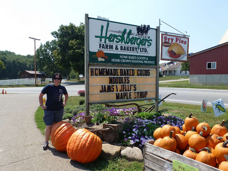 18: Holmes County - Driving me ... USA (8)