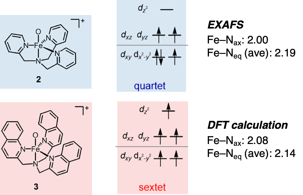 Itoh Group Literature Review