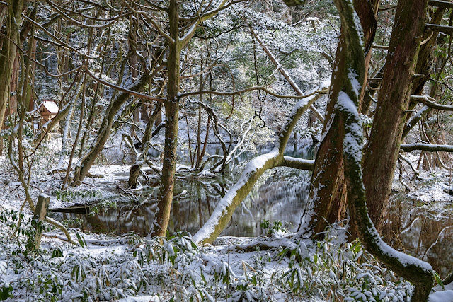 #photo #landscape #sigma #foveon #sdquattroh #japan #yamagata #yuza #山形県 #遊佐町 #山形帝國 #写真 #風景写真