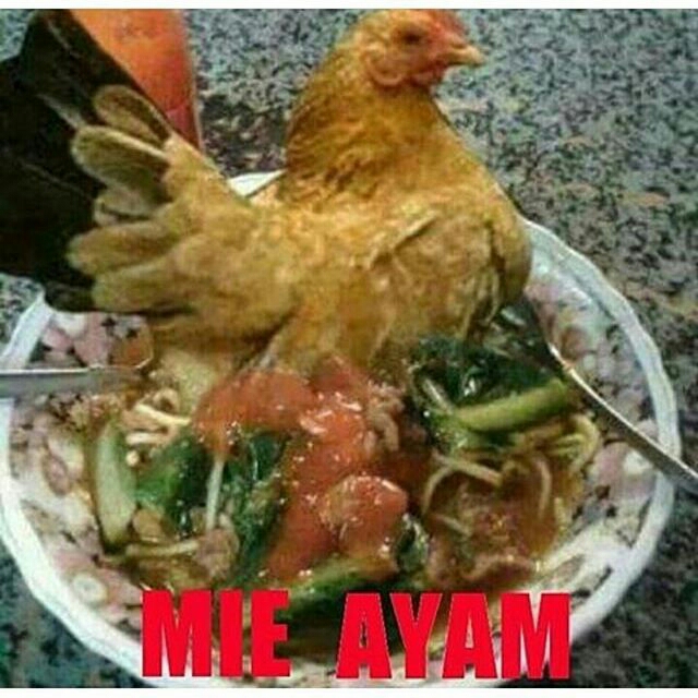 Ini Baru Bener Mie Ayam Ini Baru Bener Mie Ayam
