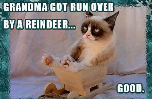 funny xmas memes picture funny xmas memes picture