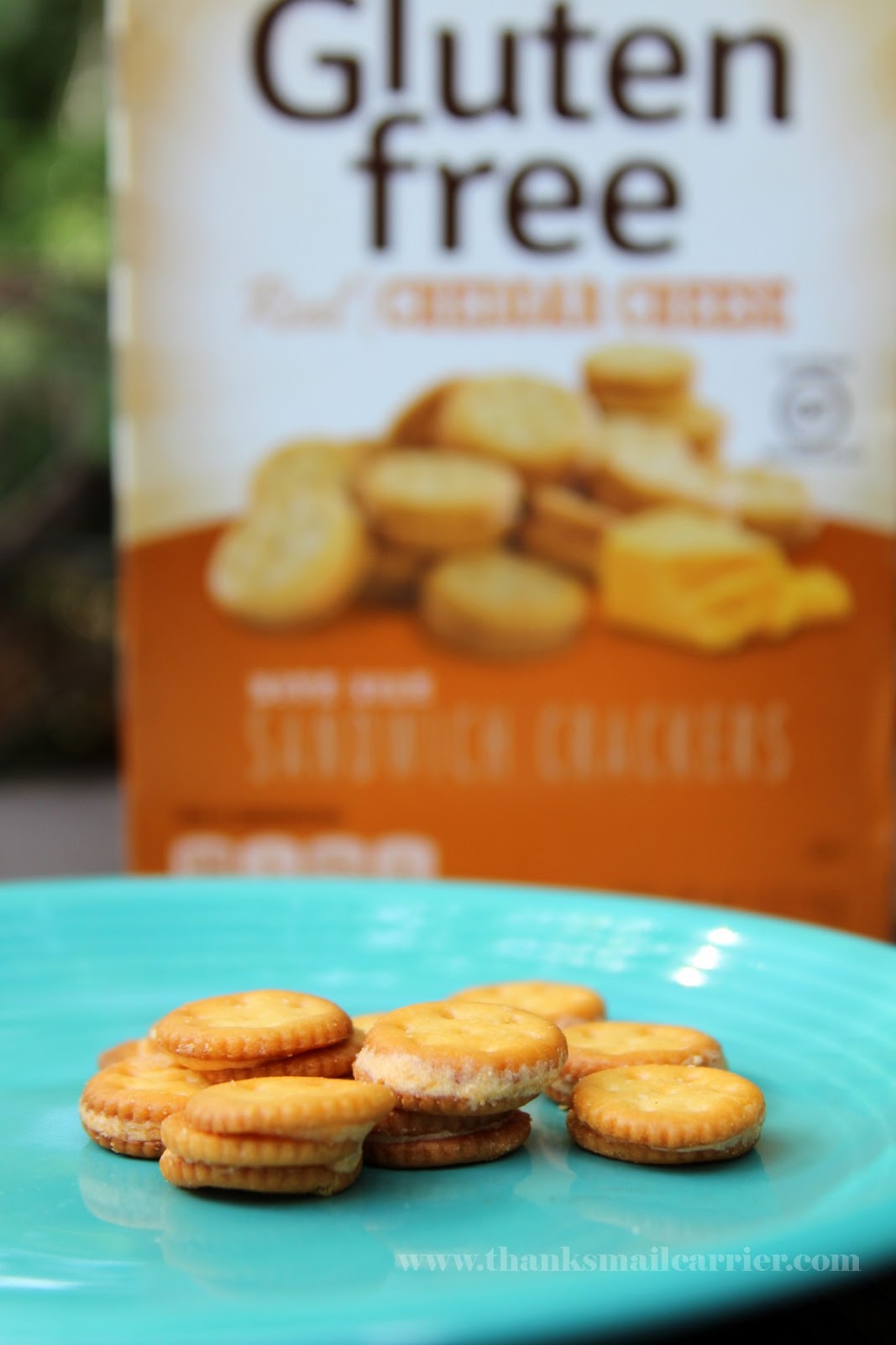 Thanks, Mail Carrier Lance Sandwich Crackers Keep Kids Fueled for