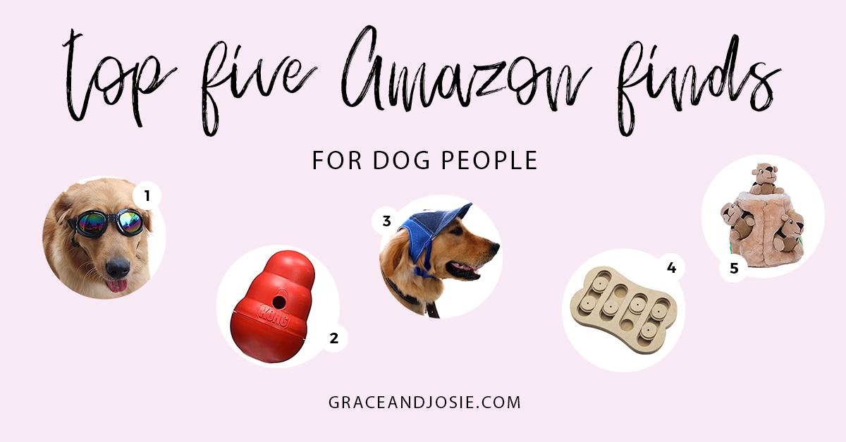 Top Five Amazon Finds for Dog Lovers Grace and Josie A Blog for Moms