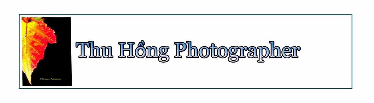 Thu Hồng Photographer