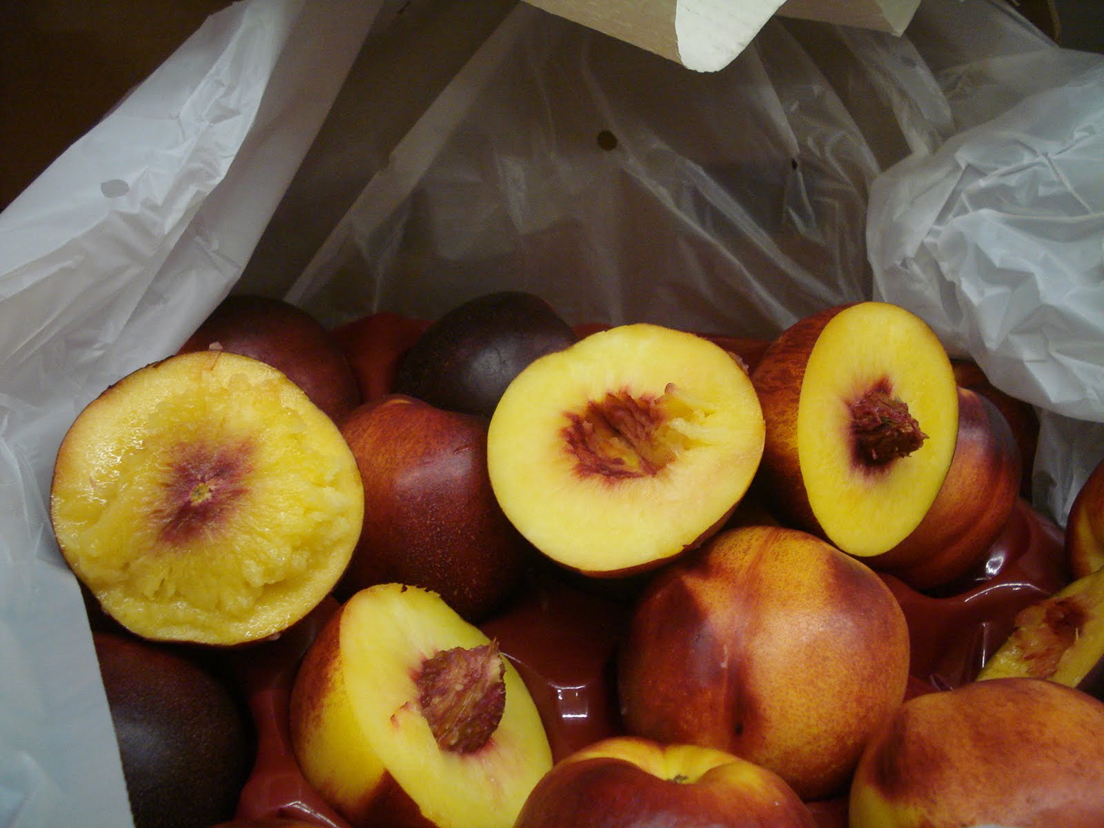 El mundo del Marine Surveyor (Capt.V.Massey) FRUTOS DE HUESO. MELOCOTON/DURAZNOS