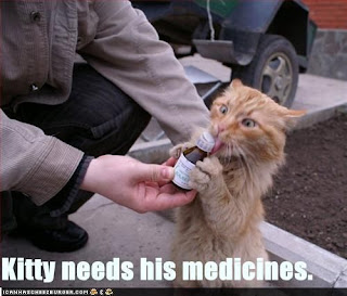 Funny Cat Pic Choosing Prescription Drugs Over Homeopathy