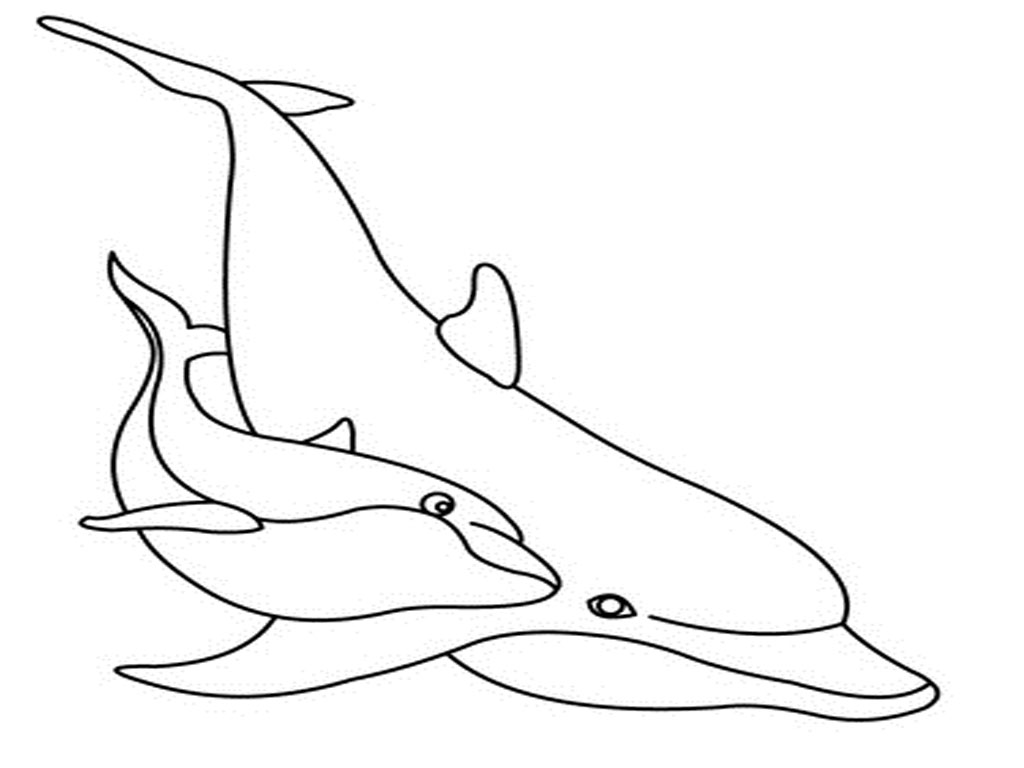 baby dolphin coloring pages - photo #32