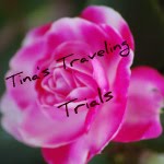 Tina's Traveling Trials