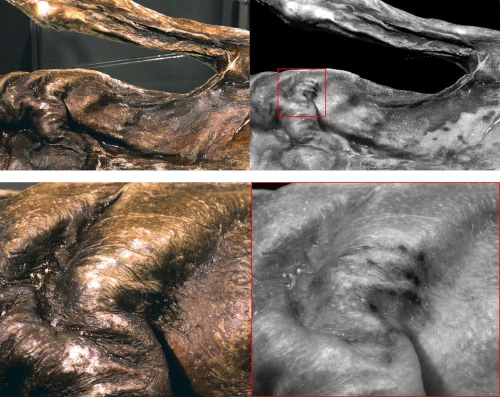Ötzi: il tatuaggio sul torace: immagine a occhio nudo (sinistra) e immagine elaborata al computer (destra)