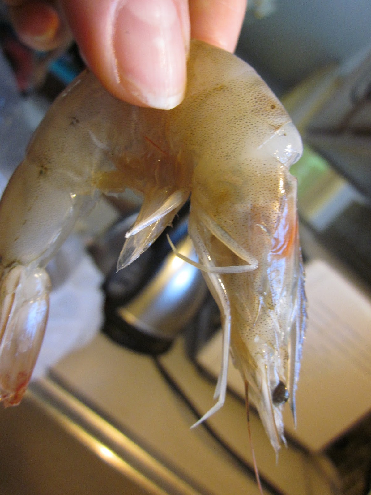 Effortnesslessly Shrimp Consomme, Oriental Style