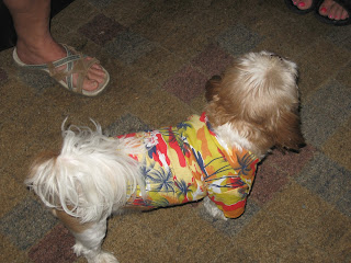 Hawaiian shirt by Micha Doggy Wear