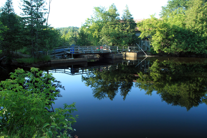 Sharon Cook Harbaruk Images Water Falls Trip Bancroft, Ontario