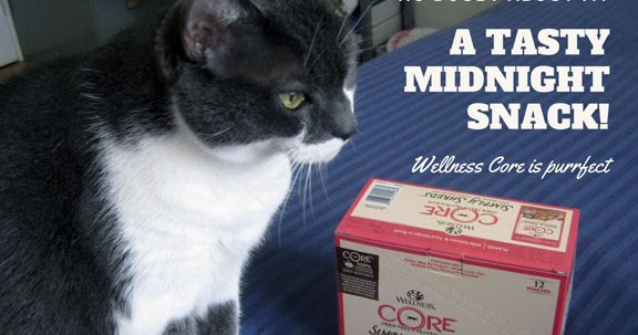 How Many Pouches Should A Cat Eat How Many Pouches Should A Cat Eat