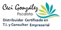 Cecy González Fiscalista y Consultor en T.I. 