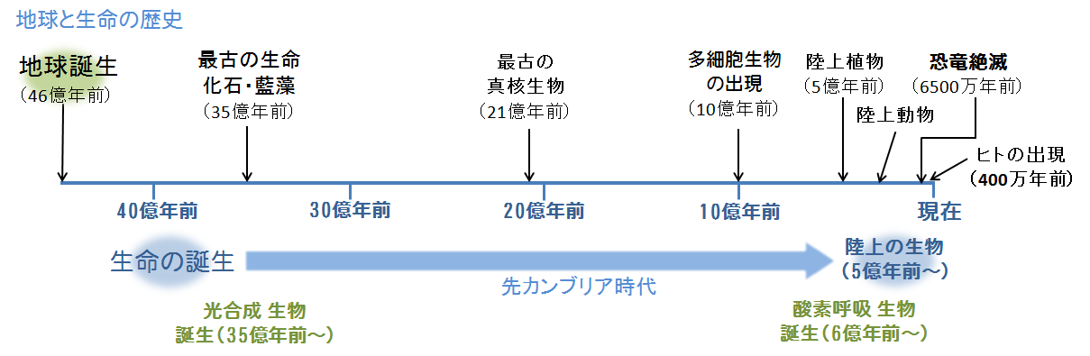 西方浄土筑紫嶋 5月 2016