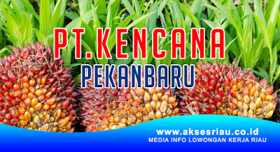 PT Kencana Pekanbaru