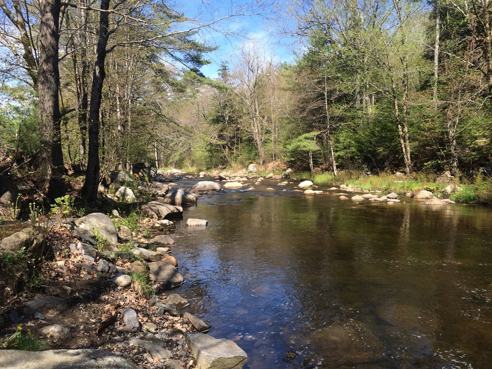 The Geology of Disc Golf Otter Brook Keene NH