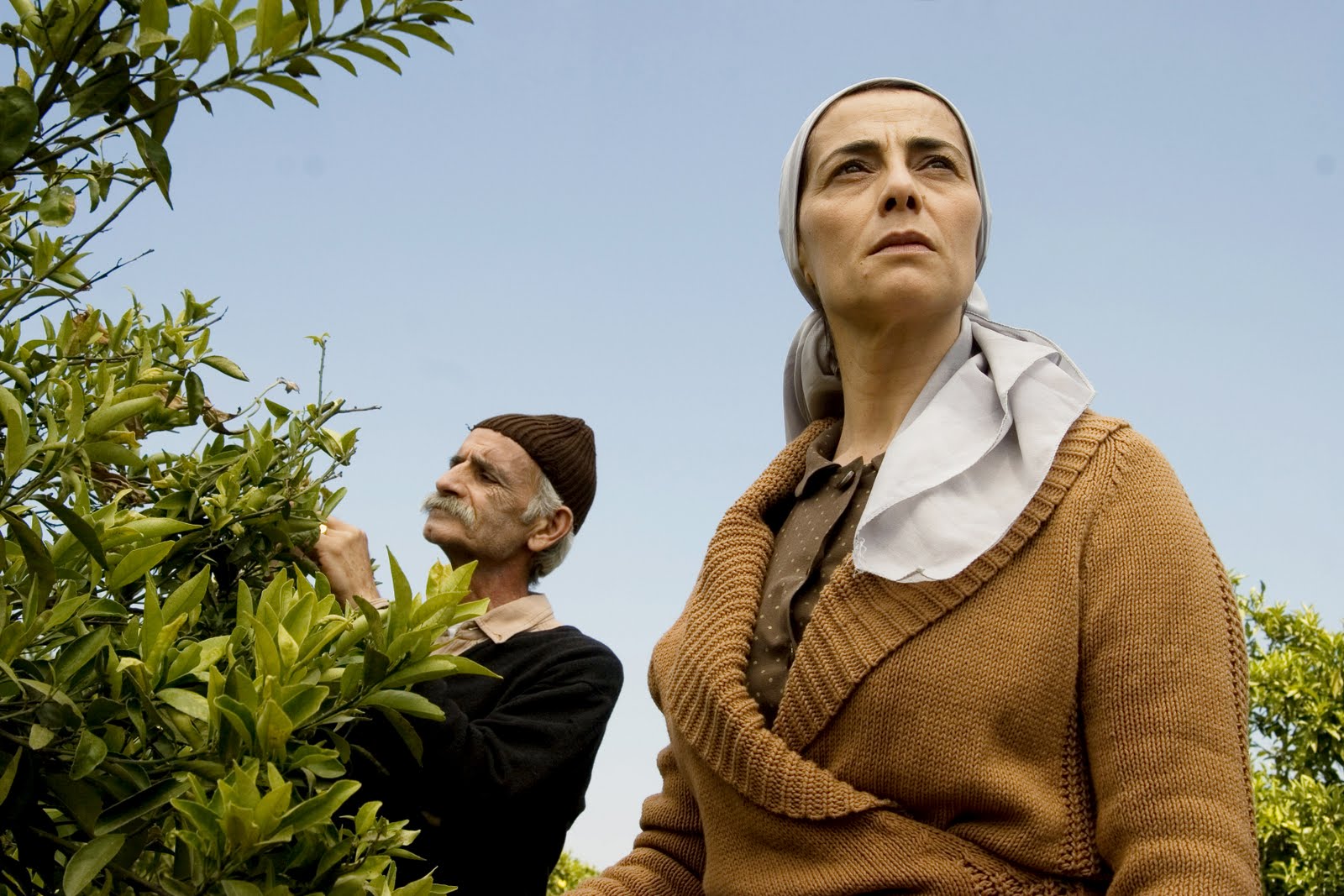 Movie Review Lemon Tree (2008) The Ace Black Movie Blog