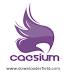 How to Install and Use Caesium Image Compressor on window without errors