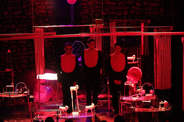 The Assembly of Animals-teraSeni The Assembly of Animals-teraSeni