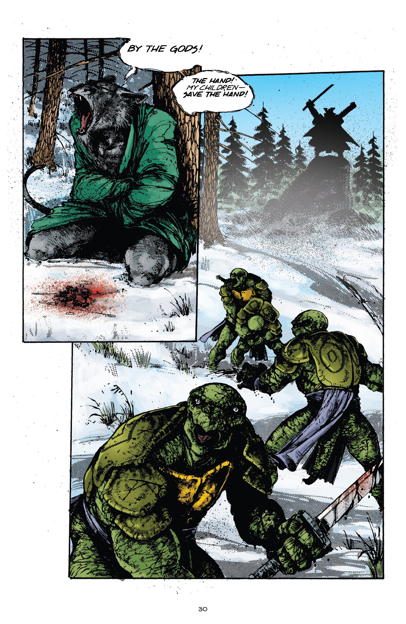 Read online Teenage Mutant Ninja Turtles Legends: Soul's Winter By Michael Zulli comic -  Issue # TPB - 27