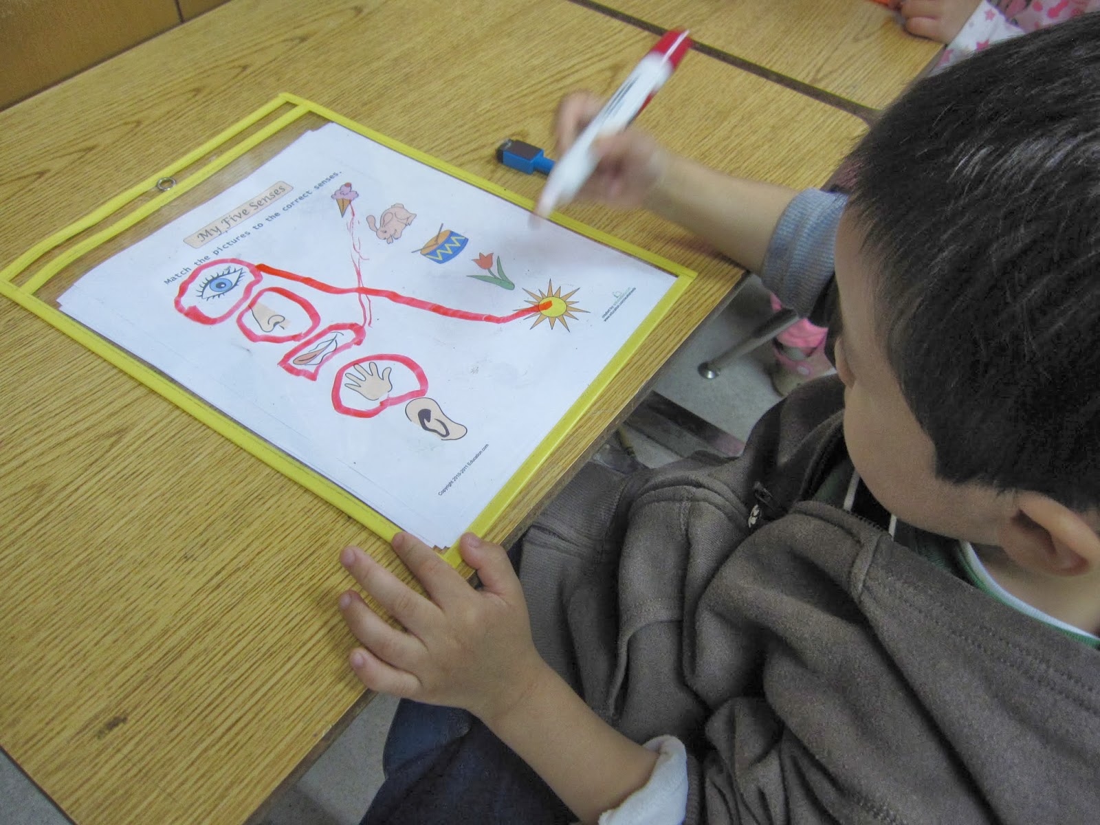 Preschool For Rookies: Five Senses: Sight